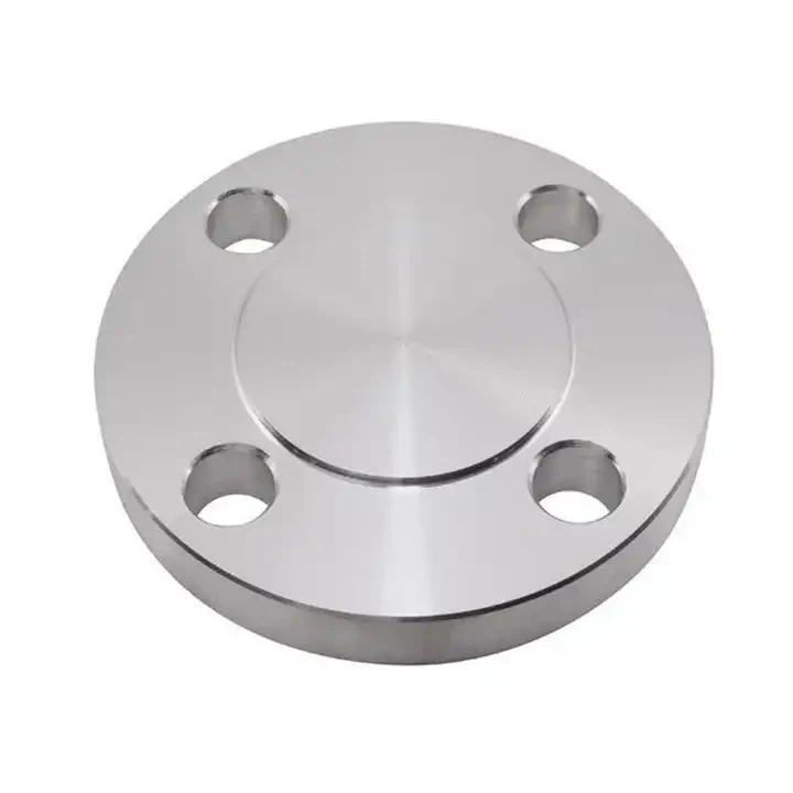 Titanium Blind Flange 2